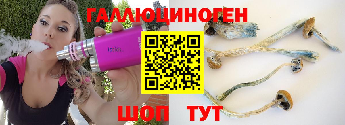 Галлюциногенные грибы Psilocybine cubensis  Вход с VPN  Ногинск 